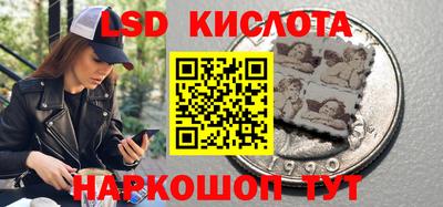 гидропоника Нальчик