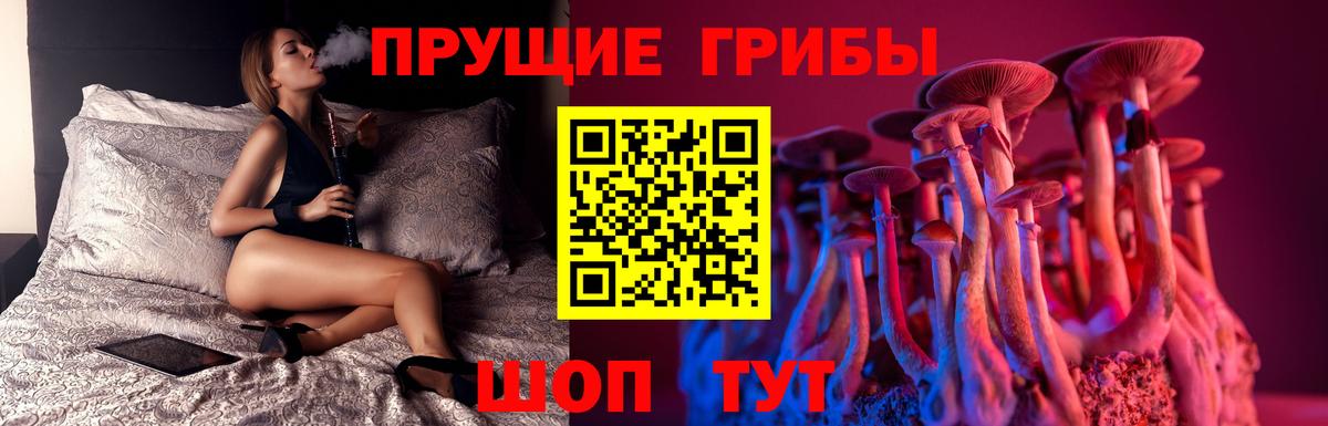 купить закладку  Псилоцибиновые грибы Psilocybe  Бугуруслан  Вход с VPN  Галлюциногенные грибы мухоморы 